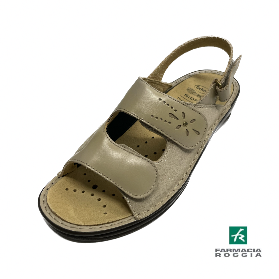 3D2AEC19-CDB4-4295-8DDD-4F840AA0E396